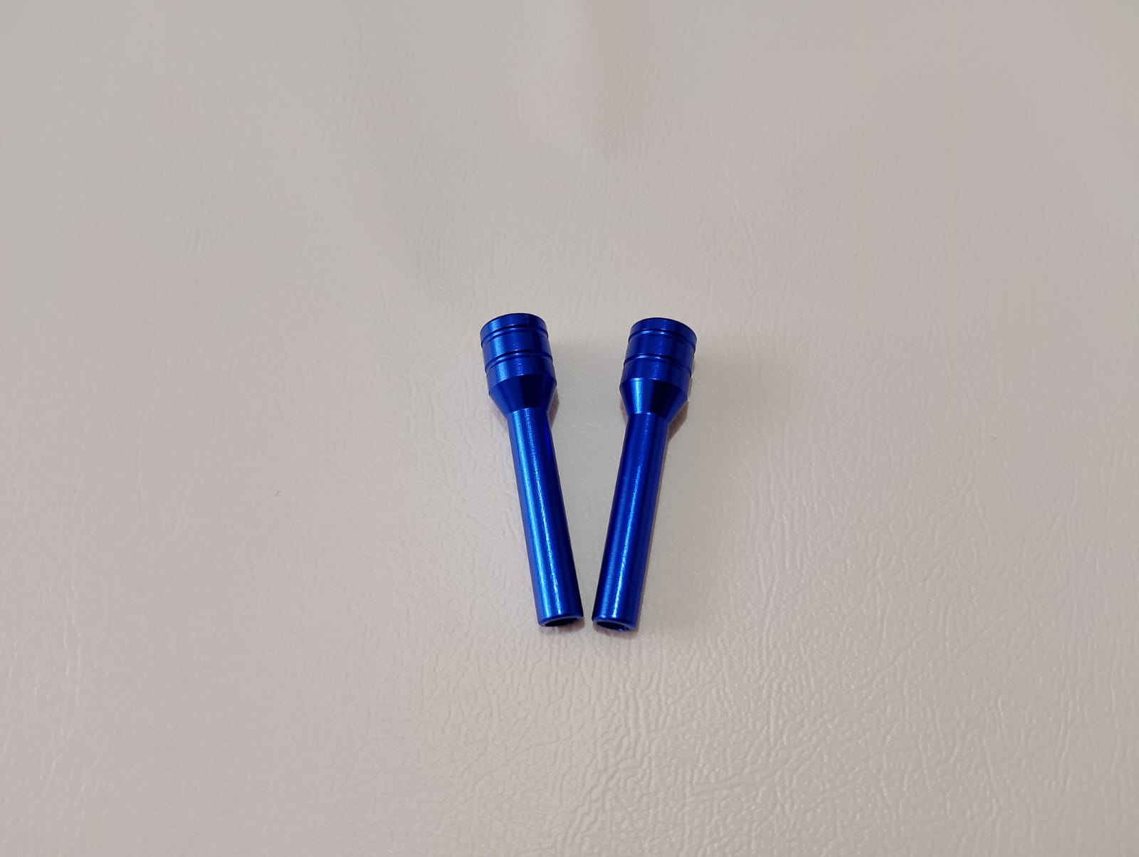 perni chiusura porte in metallo blu